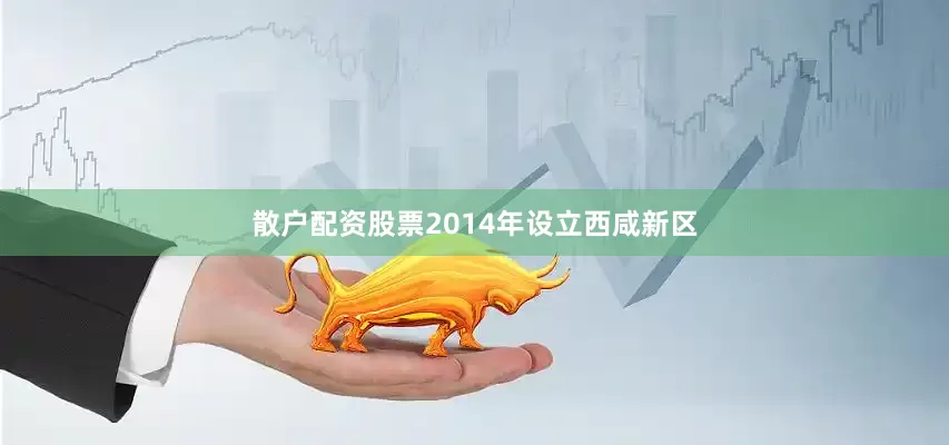 散户配资股票2014年设立西咸新区