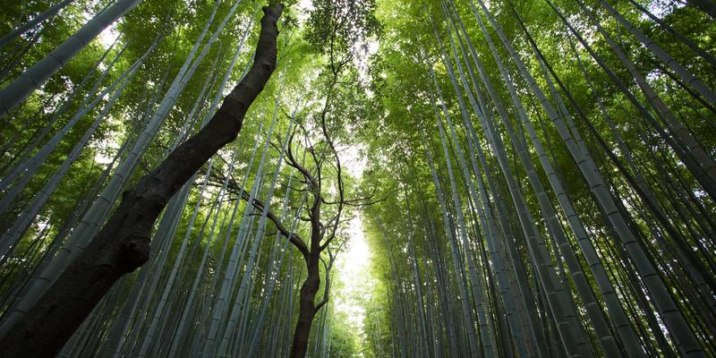 冬季续航“骨折”真相：2024主流新能源车实测，附省电秘籍与二手车避坑指南