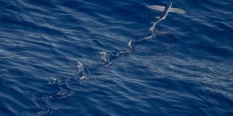 智能汽车时代，你的隐私正在“裸奔”？易车网深度解析车载互联系统数据安全与防护指南